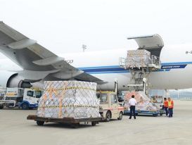 Máy bay nằm đất vì COVID-19, doanh nghiệp dịch vụ hàng không 'sống' thế nào? Máy bay nằm đất vì COVID-19, doanh nghiệp dịch vụ hàng không 'sống' thế nào?