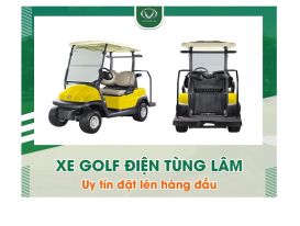 Chọn mua xe golf điện thương hiệu Việt ở đâu uy tín?