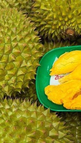 Giá sầu riêng tiếp tục giảm sâu
