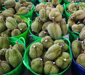 Thứ trưởng và loạt cán bộ bị bắt, lộ rõ góc khuất cấp mã số vùng trồng sầu riêng