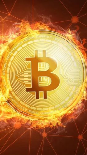 Bitcoin tăng lên đỉnh 2 tuần, nhà đầu tư quay lại tài sản rủi ro