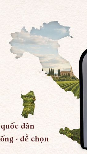 Rượu vang F – Dòng vang Ý được ưa chuộng tại Việt Nam nhờ hương vị đậm đà, dễ uống