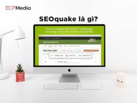 Tìm hiểu về SEOquake: Định nghĩa và hướng dẫn sử dụng cơ bản