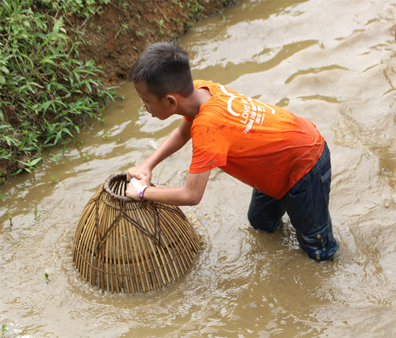 Trò chơi bắt cá trong đầm 