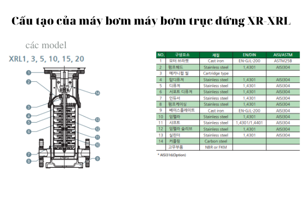 Máy bơm trục đứng XR - XRL