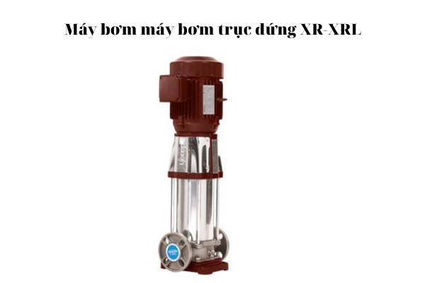 Máy bơm trục đứng XR - XRL