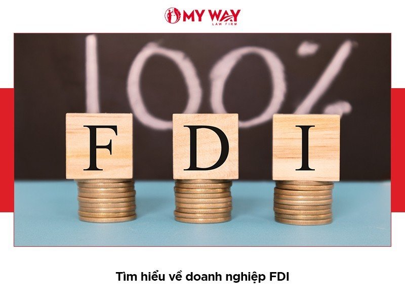 Tư vấn thành lập doanh nghiệp FDI trọn gói, chi phí tiết kiệm
