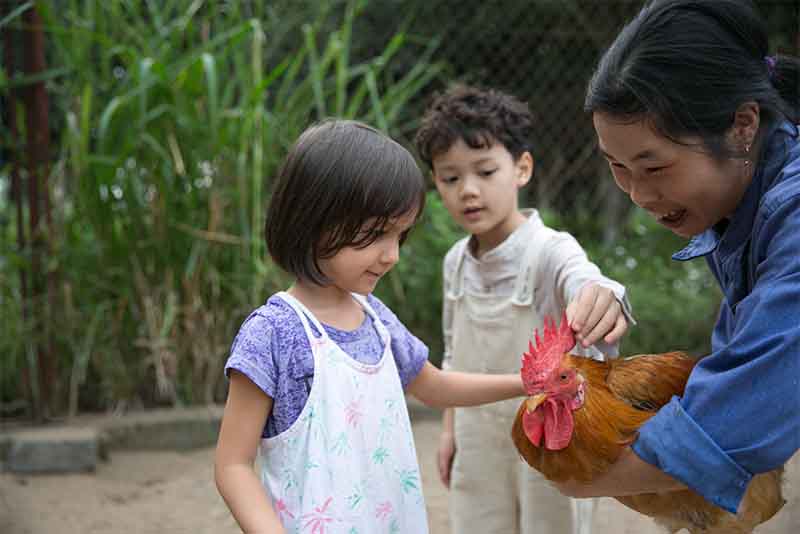 Trẻ em kết nối với động vật 
