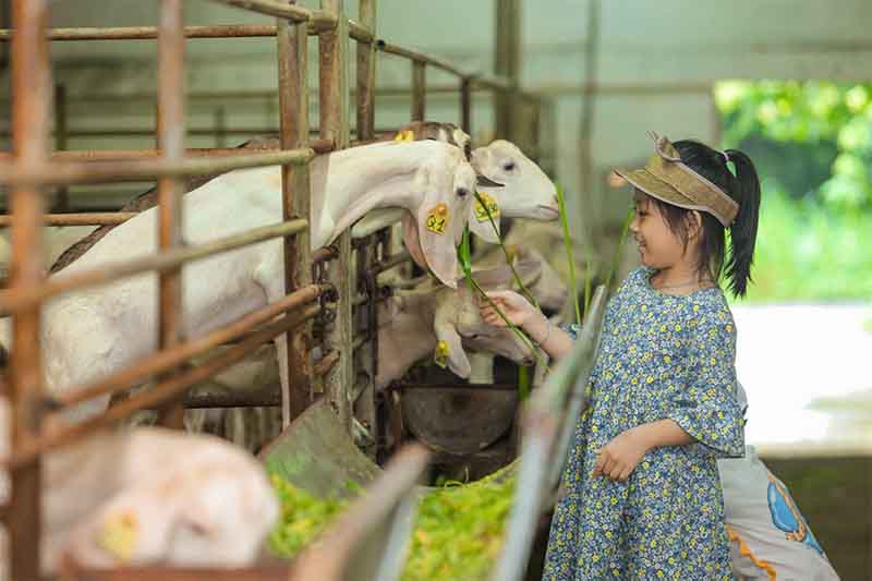 Trẻ em kết nối với động vật 