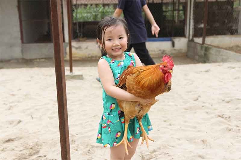 Trẻ em kết nối với động vật 