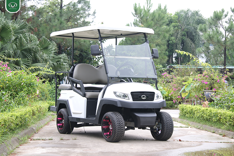 xe golf điện